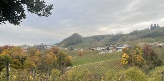 Prosecco, čarolija koja osvaja svijet
