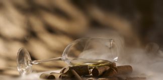 Istarski vinari zadovoljni berbom: Vinistra najavila En Primeur mladih malvazija