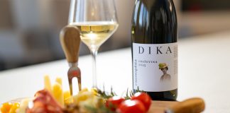 Vina Dika nove berbe 2025.: proljetna svježina iz srca Slavonije