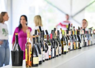 Bregi, vino i život u sporijem ritmu: Vikend je rezerviran za Eco-Wine Fest