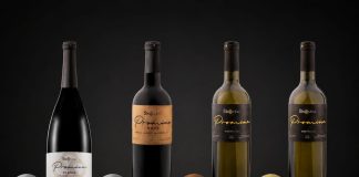 “Zaboravljeno vinogorje” zasjalo u Londonu: Ško vina iz Promine osvojila zlato na Decanteru