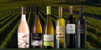 Kontinuitet kvalitete Vinarije Kutjevo: graševina kao simbol međunarodnog uspjeha