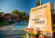 Vinskim igrama u Virovitici kreće festival zbog kojeg se isplati potegnuti do Slavonije i Podravine