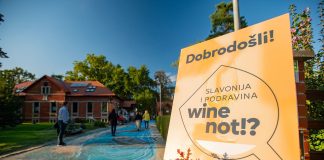 Vinskim igrama u Virovitici kreće festival zbog kojeg se isplati potegnuti do Slavonije i Podravine