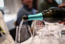 Posjetite Dane vina i upoznajte perjanice Plešivice